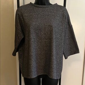 Zara Trafaluc sparkle top